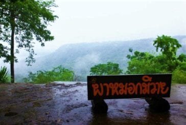 ผาหมอกมิวาย
