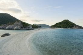 เกาะนางยวน