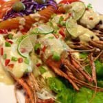 Fourest Restaurant4