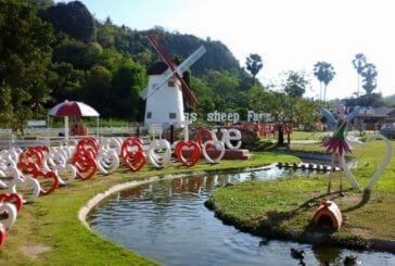 Swiss Sheep Farm