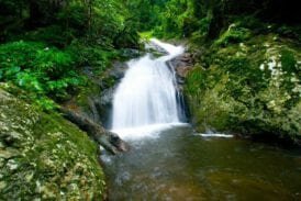 น้ำตก โกรกอีดก