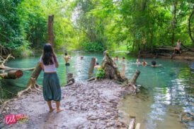 น้ำพุร้อนไทรงาม