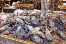 สิงโตทะเล Seafood BBQ Buffet