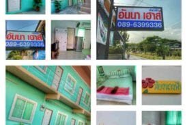 อันนา เฮาส์