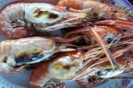 รุ่งฟ้าซีฟู๊ด บางขุนเทียน-ชายทะเล