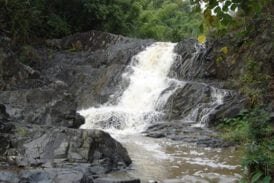 น้ำตกตาดซาววา