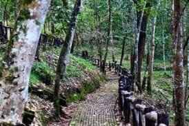 อุทยานแห่งชาติน้ำตกแม่สุรินทร์