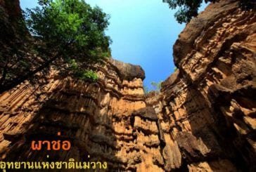 ผาช่อ (Grand Canyon Thailand)