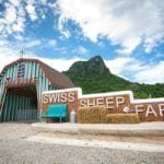 Swiss Sheep Farm2