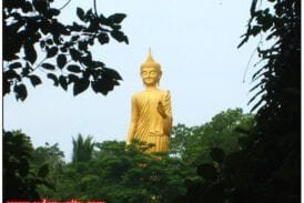 ป่าคำชะโนด