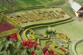 ดอยแม่สลอง