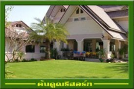 ต้นคูณรีสอร์ท