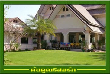 ต้นคูณรีสอร์ท