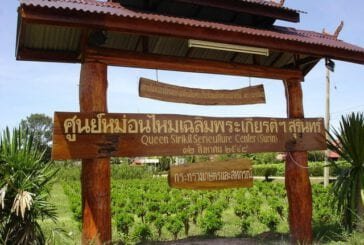 ศูนย์หม่อนไหมเฉลิมพระเกียรติสมเด็จพระนางเจ้าสิริกิติ์ พระบรมราชินีนาถ สุรินทร์