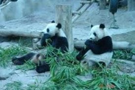 สวนสัตว์เชียงใหม่