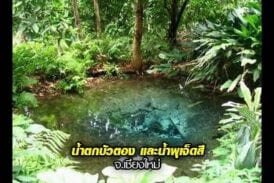 วนอุทยานน้ำตกบัวตอง-น้ำพุเจ็ดสี