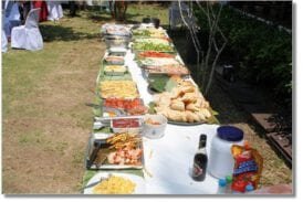 Jungle Bar and Restaurant