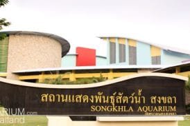 Songkhla Aquarium