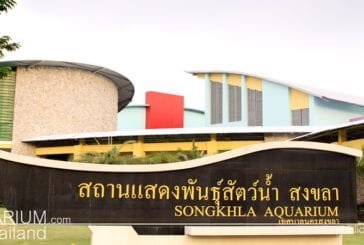 Songkhla Aquarium