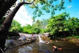 สวนหินธรรมชาติ พุหางนาค