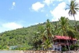 ครัวต้นหยี ซีฟู๊ด