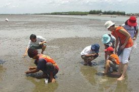 ดอนหอยหลอด