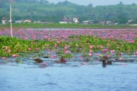 ทะเลน้อย