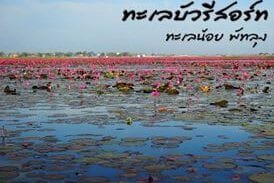 ทะเลบัว รีสอร์ท