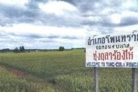 ทุ่งกุลาร้องไห้