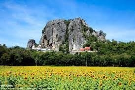 ทุ่งทานตะวัน