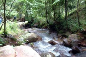 น้ำตกดอยหมอก