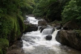 น้ำตกนางรอง