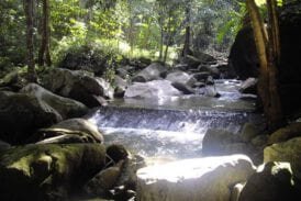 นํ้าตกโผงโผง