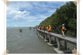 ป่าชายเลนอ่าวมหาชัย