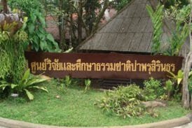 ป่าพรุโต๊ะแดง
