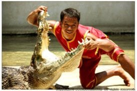 ฟาร์มจระเข้และสวนสัตว์