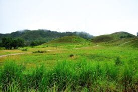 ภูเขาหญ้า