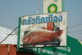 ร้านอาหารครัวทิดเทือง