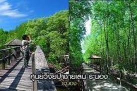 ศูนย์วิจัยป่าชายเลนหงาว