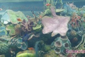 ศููนย์แสดงพันธุ์สัตว์น้ำ ศรีสะเกษอควาเรียม