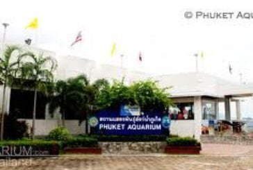 สถานแสดงพันธุ์สัตว์น้ำ (Phuket Aquarium)