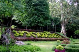 สวนรุกขชาติมวกเหล็ก