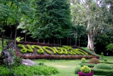 สวนรุกขชาติมวกเหล็ก