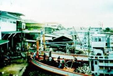 สะพานปลา