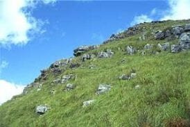 สุสานหอย 218 ล้านปี