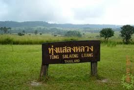 อุทยานแห่งชาติทุ่งแสลงหลวง
