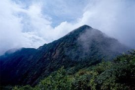 อุทยานแห่งชาติเขาหลวง