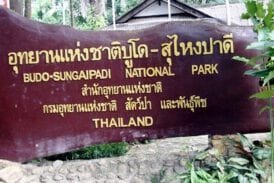 อุทยานแห่งชาติเทือกเขาบูโด – สุไหงปาดี