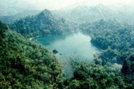 เขตรักษาพันธุ์สัตว์ป่าทุ่งใหญ่นเรศวร