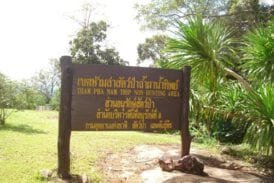 เขตห้ามล่าสัตว์ป่าถ้ำผาน้ำทิพย์